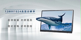 高清LCD KVM切换器-胜为科技